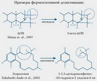 микотоксикозы птицы