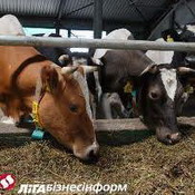 с начала года сельскохозтоваропроизводителям приморья выплачено более 800 млн рублей субсидий