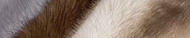 породы норок, (белая норка, голубая норка, черная норка, скандинавская норка, канадская норка, норка европейская) и качество меха норки