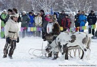 современное состояние циркумполярного оленеводства