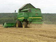 россия установила рекорд по экспорту зерна